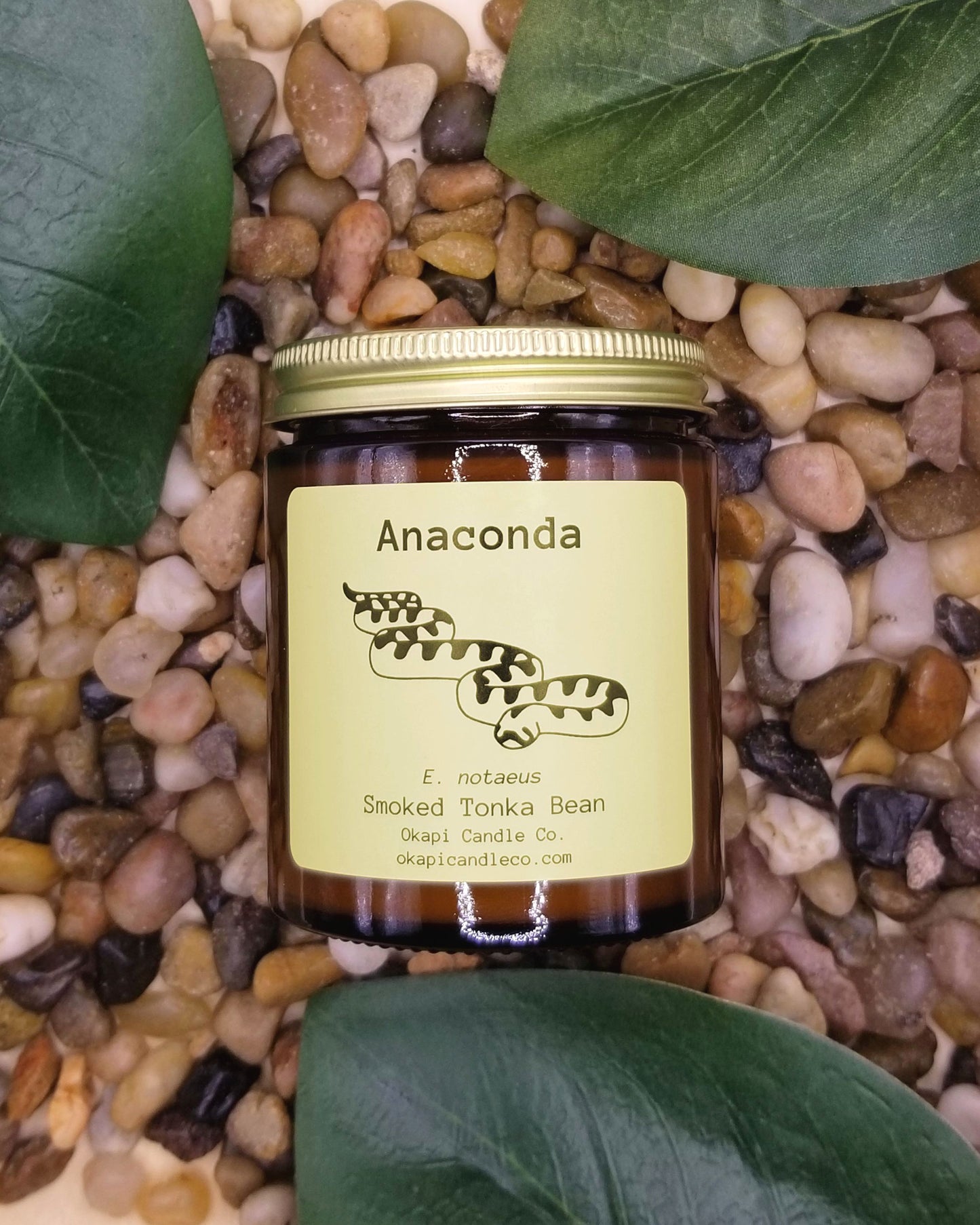 Anaconda Soy Candle - Smoked Tonka Fragrance