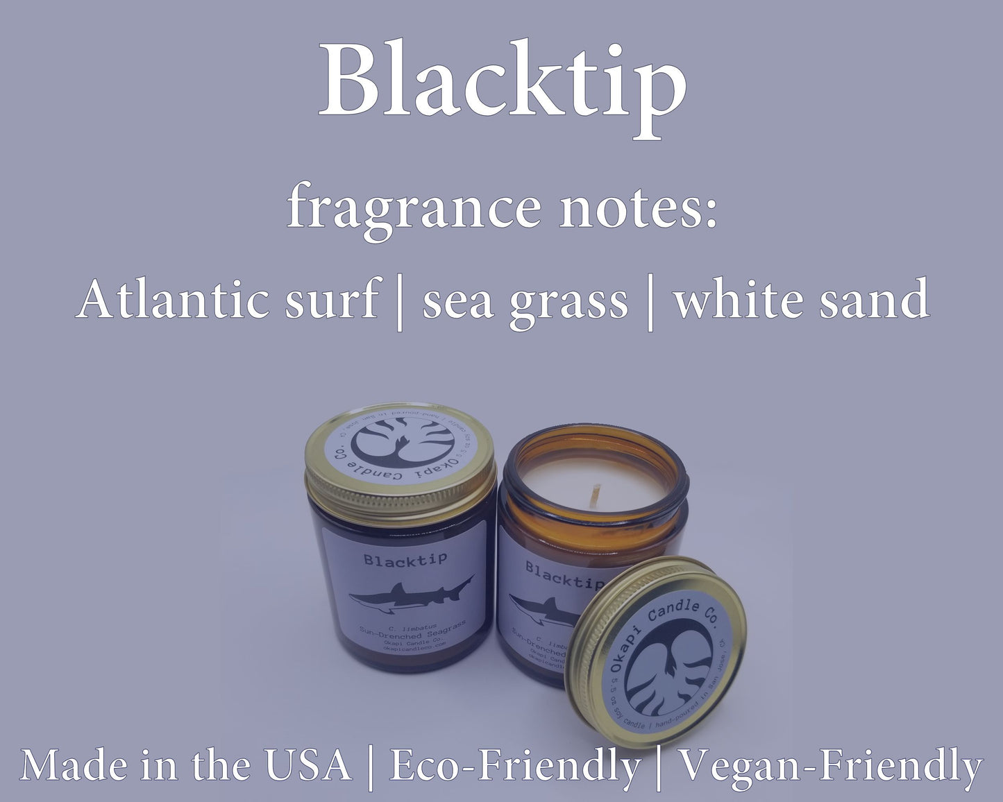 Blacktip Shark Room & Linen Spray - Sun-Drenched Seagrass Fragrance