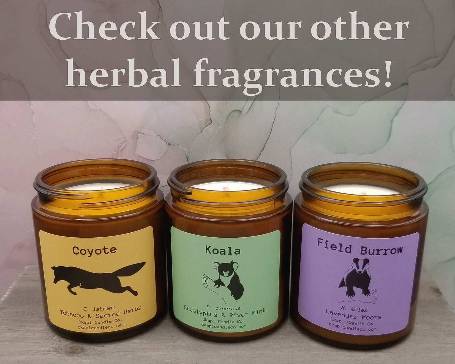 Coyote Soy Candle - Tobacco and Sacred Herbs Fragrance