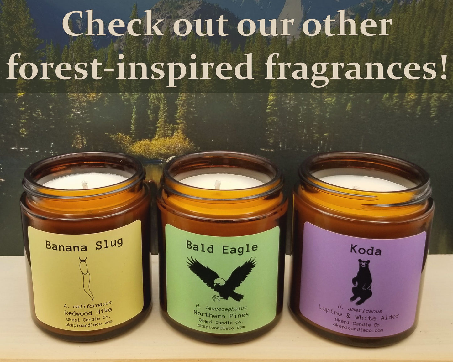 Bald Eagle Soy Candle - Northern Pines Fragrance