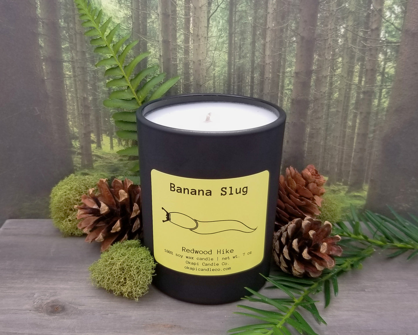 Banana Slug Soy Candle - Redwood Hike Fragrance