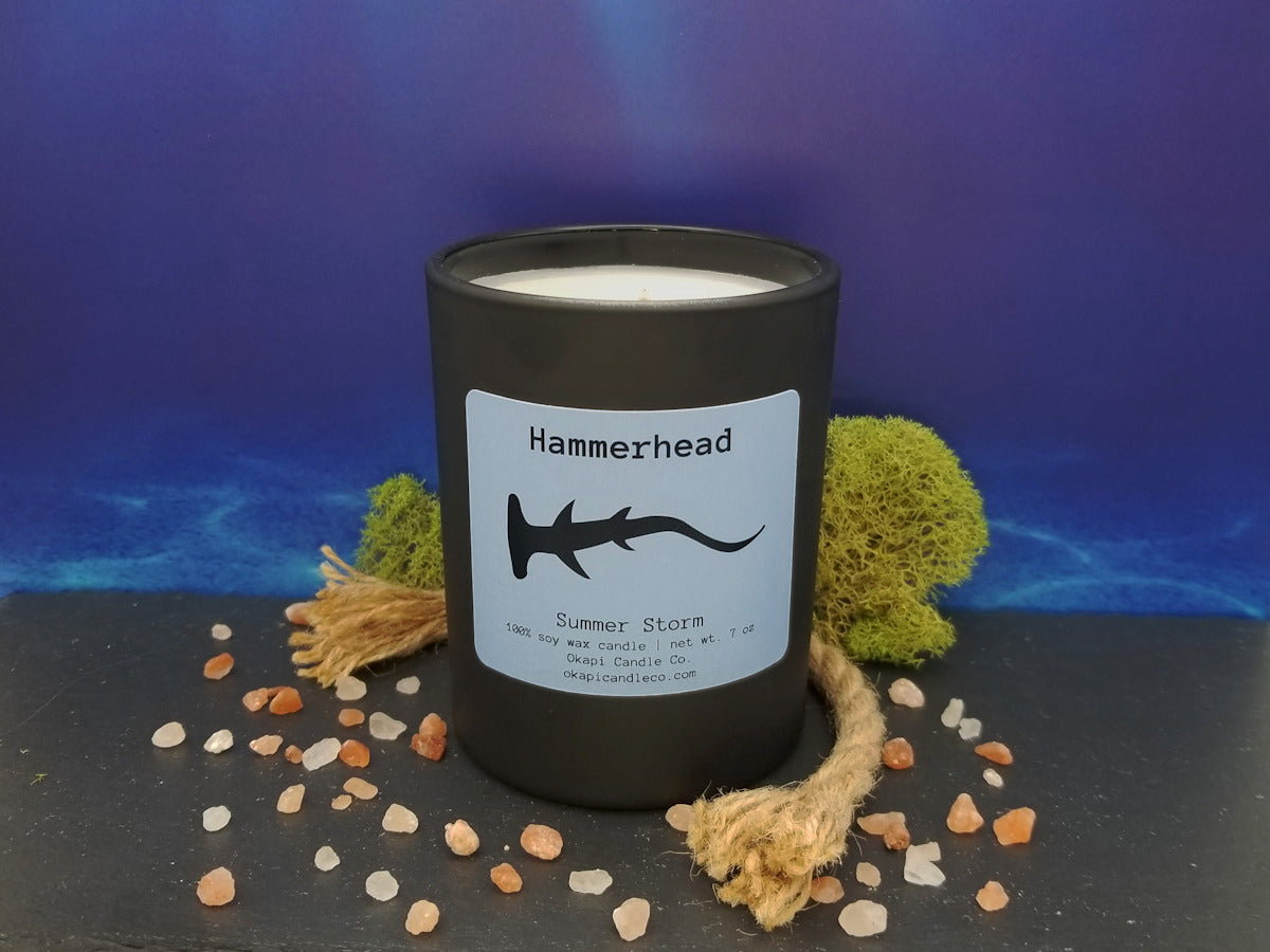 A black glass vessel with art of a hammerhead shark on a light blue label rests on a black slate, surrounded by moss and sea salt.