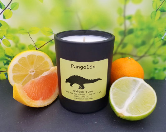 A candle in a black glass tumbler, surrounded by various citrus fruits, sits in front of a bright, leafy backdrop. The candle bears a yellow label with an illustration of a pangolin. 