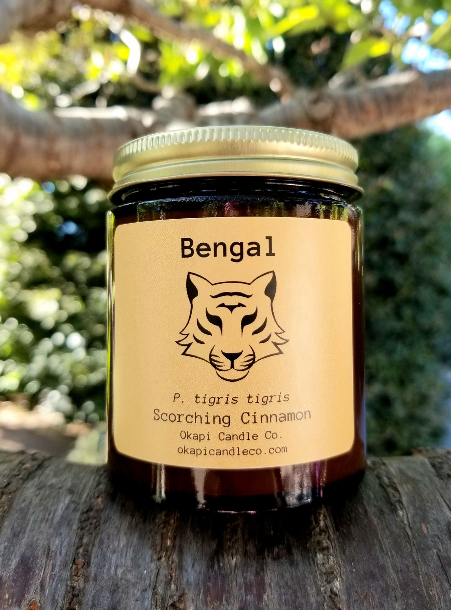 Bengal Tiger Soy Candle - Scorching Cinnamon Fragrance
