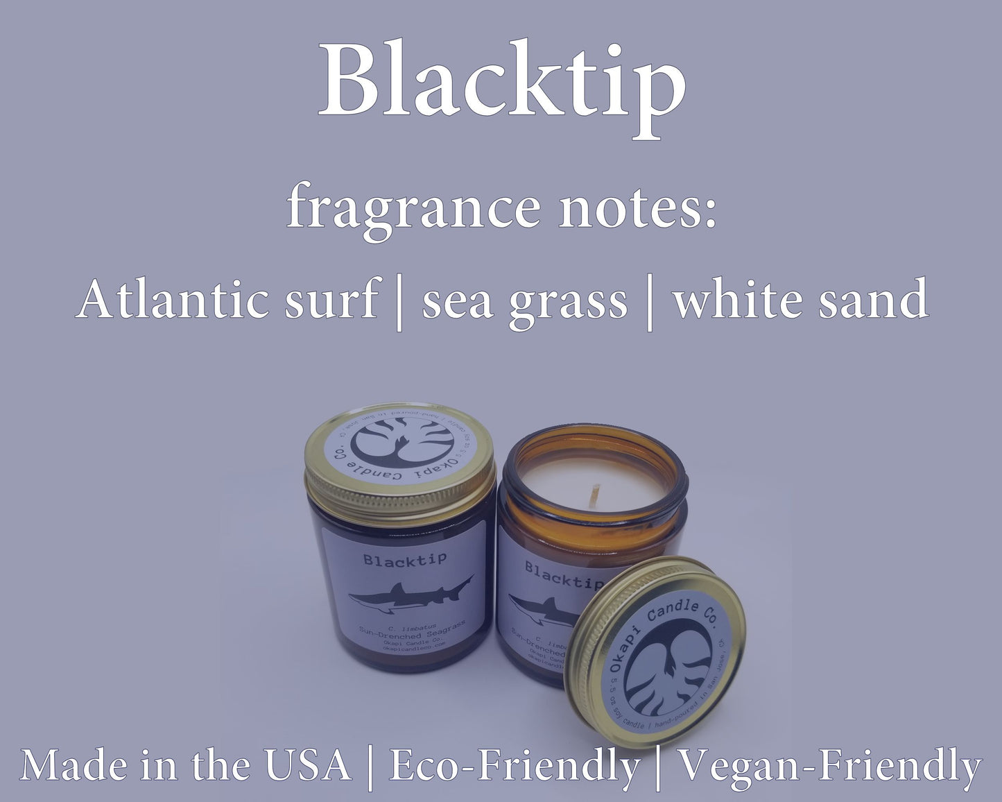 Blacktip Shark Soy Candle - Sun-Drenched Seagrass Fragrance