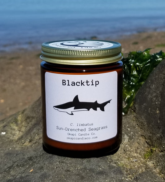 Blacktip Shark Soy Candle - Sun-Drenched Seagrass Fragrance