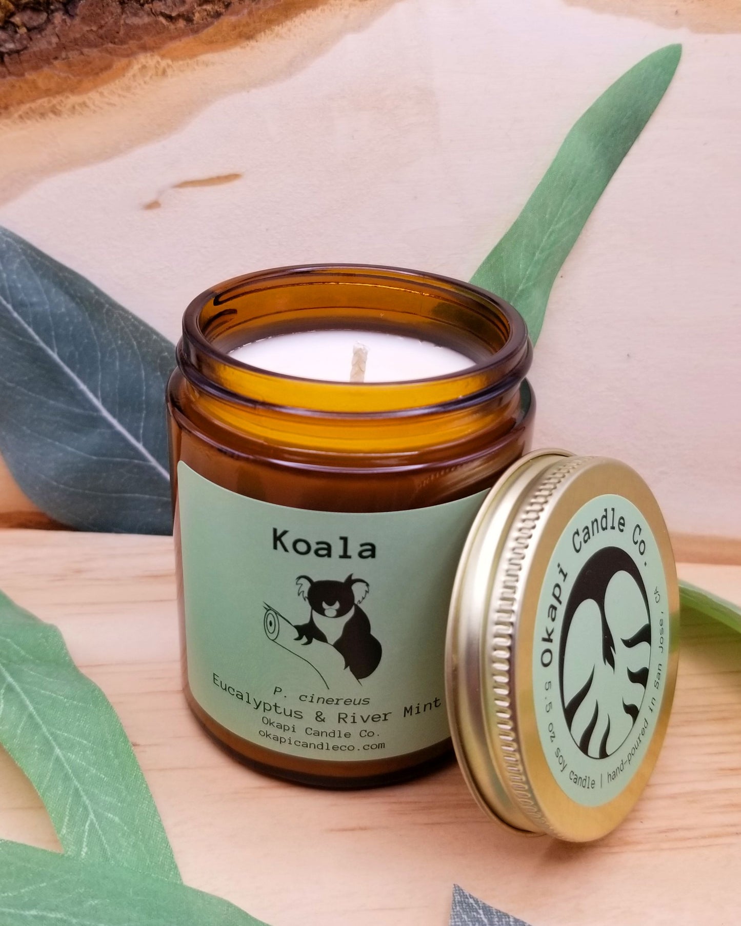 Koala Soy Candle - Eucalyptus & River Mint Fragrance