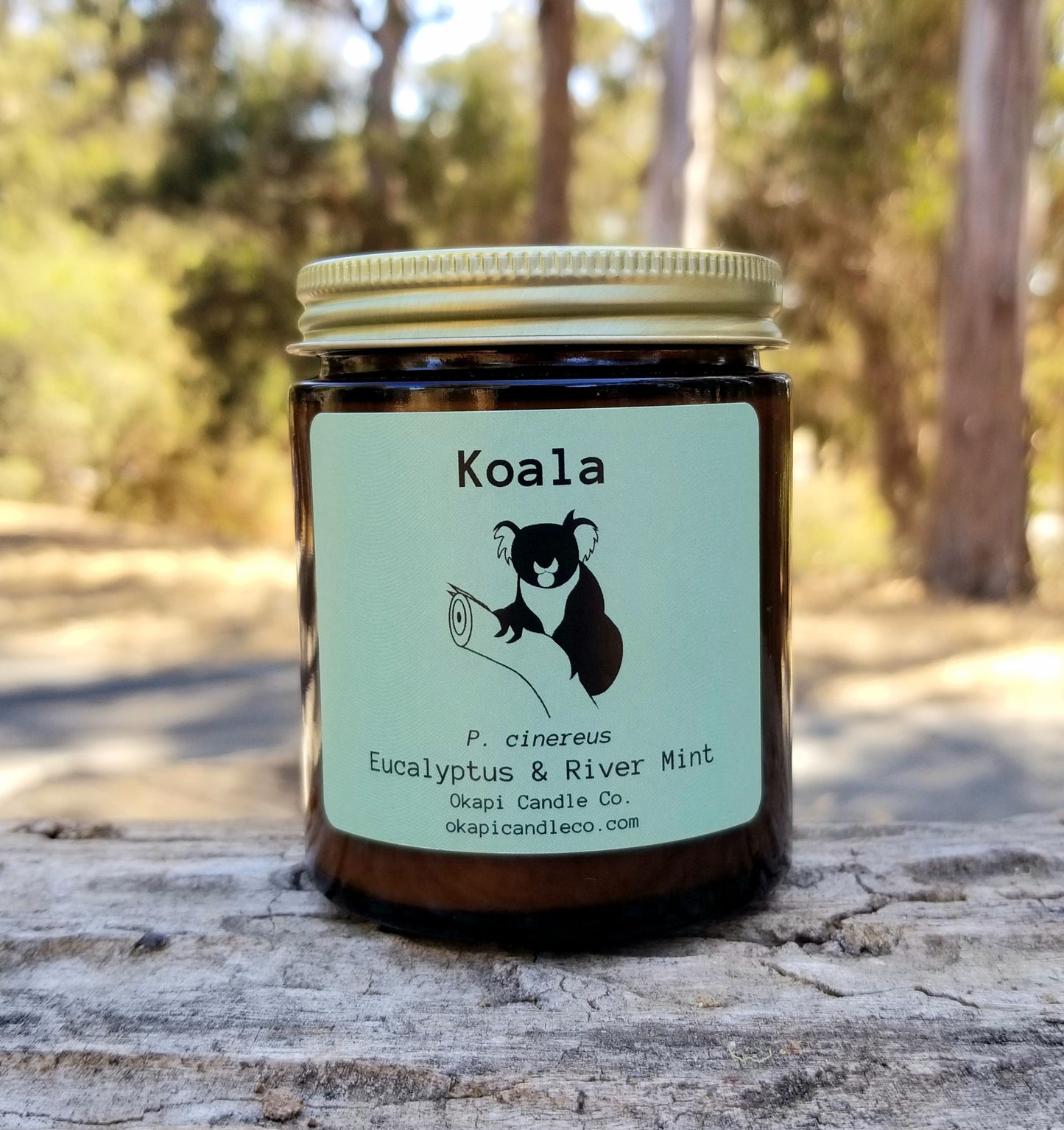 Koala Soy Candle - Eucalyptus & River Mint Fragrance
