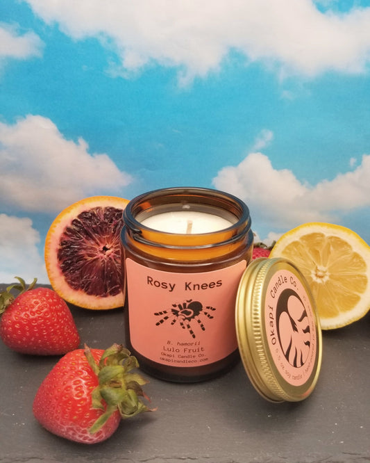 Red Kneed Tarantula Spider Inspired Soy Candle - Lulo Fruit Fragrance